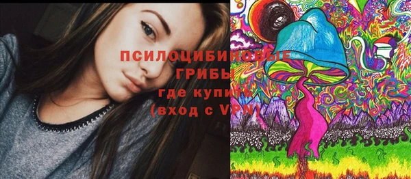 ПСИЛОЦИБИНОВЫЕ ГРИБЫ Армянск