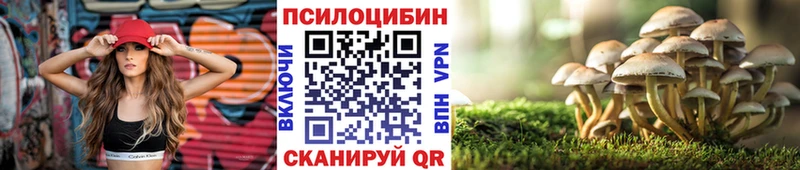 закладки  Стрежевой  Галлюциногенные грибы Magic Shrooms 
